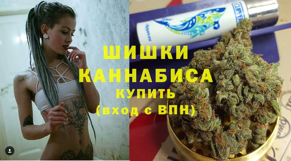 МДПВ Дмитриев