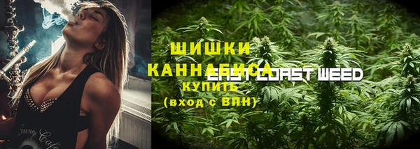 МДПВ Дмитриев