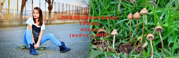 jwh Дмитровск