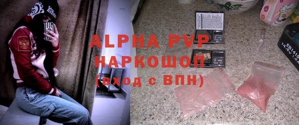 МДПВ Дмитриев