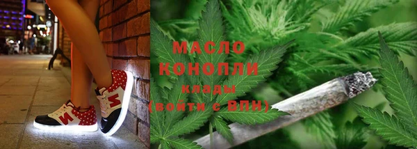 ECSTASY Елизово