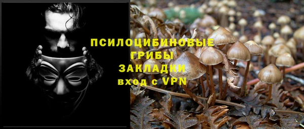 mdma Елабуга